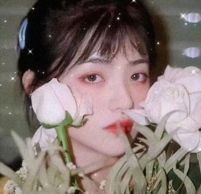 没有荣誉