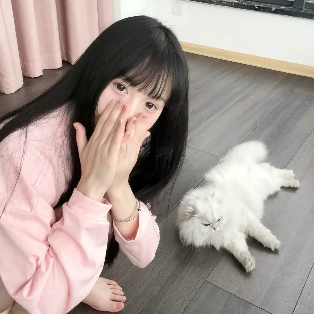 新·假面骑士